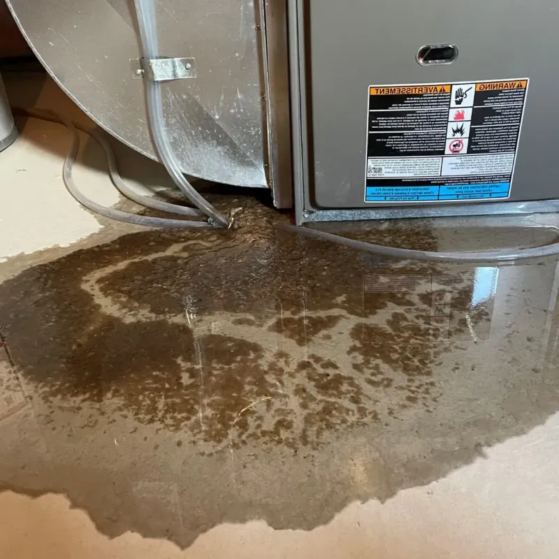 Pipe Burst and Leak Restoration in Broad Ripple, IN